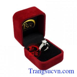 Nhẫn nữ vàng trắng sành điệu