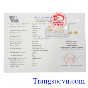 Giấy kiểm định