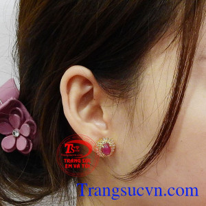 Hoa tai ruby nữ hoàng