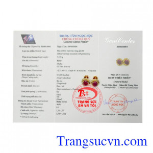Hoa tai Ruby rực rỡ vàng 14k chất lượng.