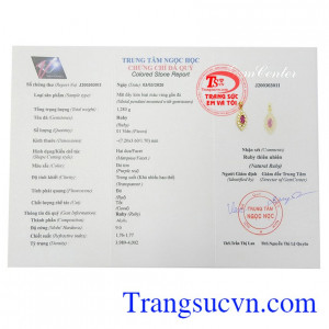 Giấy kiểm định