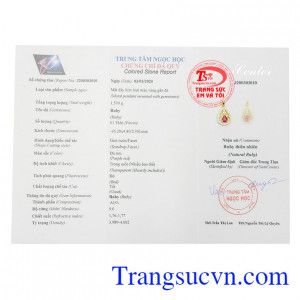 Giấy kiểm định