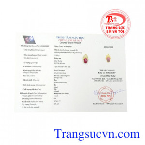 Sản phẩm thích hợp cho nhiều kiểu trang phục. Mặt dây nữ ruby sao lấp lánh