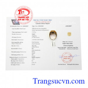 Nhẫn nam vàng Sapphire danh vọng