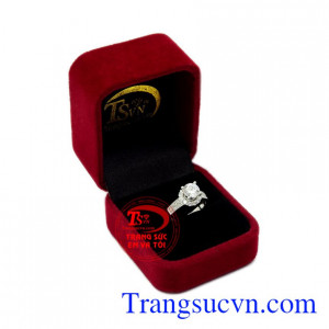 Nhẫn nữ tìm kiếm ước mơ