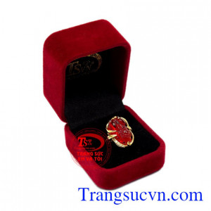 Nhẫn nữ tỳ hưu an khang