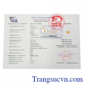 Giấy kiểm định