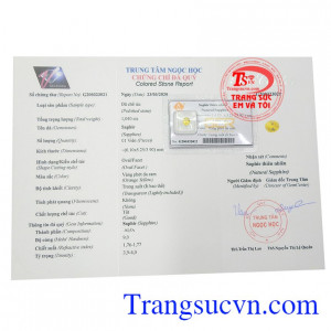 Giấy kiểm định