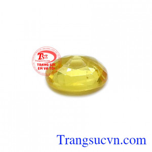 Sapphire vàng ép vỉ công danh màu sắc đẹp, chất lượng cao, có giấy kiểm định đá quý đảm bảo.