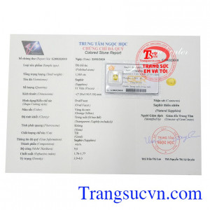 Giấy kiểm định