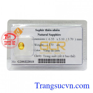 Sapphire vàng ép vỉ sáng suốt từ xa xưa đã rất được con người ưa chuộng sử dụng bởi những tác dụng và ý nghĩa tuyệt vời của nó
