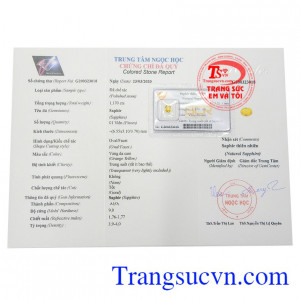 Giấy kiểm định