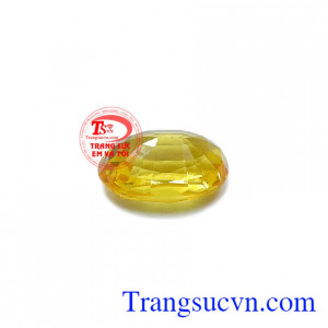 Sapphire vàng thiên nhiên chung thủy có thể kết hợp với vàng hoặc bạc tạo thành mặt dây chuyền, nhẫn hoặc hoa tai đeo hợp thời trang và sang trọng