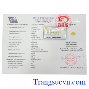 Giấy kiểm định