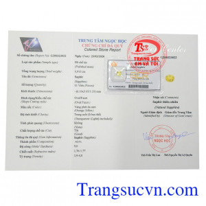 Giấy kiểm định