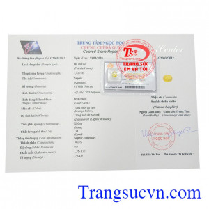 Giấy kiểm định