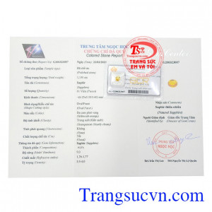 Giấy kiểm định