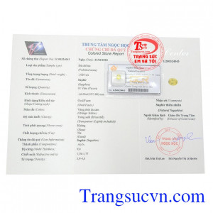 Giấy kiểm định