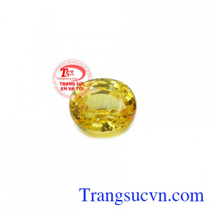 Sapphire vàng ép vỉ sang trọng có thể làm mặt dây chuyền, mặt nhẫn, hoa tai tôn lên vẻ đẹp nữ tính và quý phái cho phái đẹp.