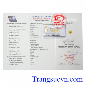 Giấy kiểm định