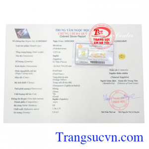 Giấy kiểm định