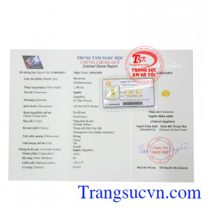 Giấy kiểm định