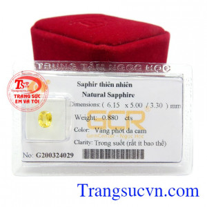 Sapphire là một trong những loại đá quý hiếm và đẹp nhất trong tự nhiên