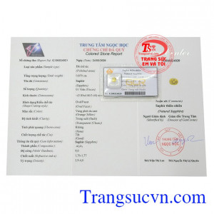 Giấy kiểm định