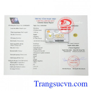 Giấy kiểm định