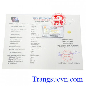 Giấy kiểm định