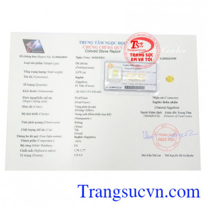 Giấy kiểm định