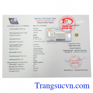 Giấy kiểm định