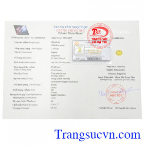 Giấy kiểm định