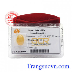 Đá ép vỉ saphir thịnh vượng với kiểu dáng sang trọng và hợp thời trang thích hợp với cả nam và nữ. 