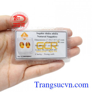 Hợp với người mệnh thổ và mệnh kim. Đôi bông tai sapphire vàng