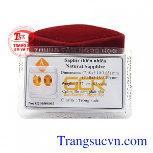 Thích hợp làm hoa tai cho phái đẹp. Đôi bông tai sapphire vàng