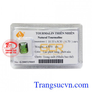 Viên Tourmalin phú quý được chế tác tỉ mỉ, từng nét sắc xảo tạo nên một viên Tourmalin đắt giá.