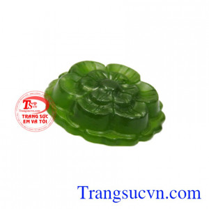 Hoa mai là biểu tượng của mùa xuân, sự tươi mới, sức sống tràn đầy.