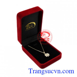 Bộ mặt dây ánh sáng lấp lánh