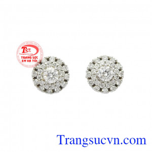 Hoa tai kim cương rạng rỡ