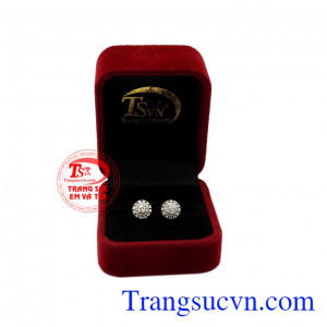Kim cương chính là loại đá quý mà bất cứ người phụ nữ nào cũng đều khao khát được sở hữu. Hoa tai kim cương rạng rỡ