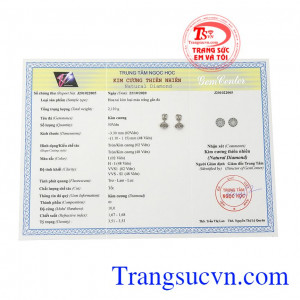 Đây cũng là viên đá hộ mệnh cho người sinh tháng 5. Hoa tai kim cương rạng rỡ