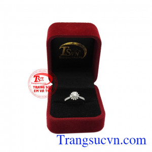 Các viên kim cương lấp lánh trên đôi tay của người phụ nữ mang tới vẻ đẹp kiêu sa mà bất cứ ai cũng khao khát. Nhẫn nữ kim cương rạng ngời