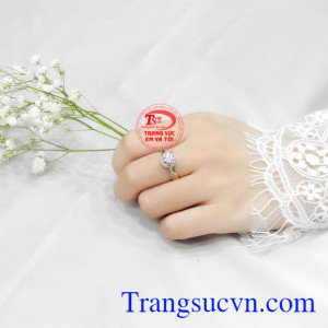 Nhẫn nữ nhập khẩu tinh tế giao hàng trên toàn quốc.