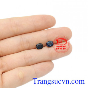 Thanh toán an toàn