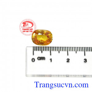 Bảo hành uy tín.