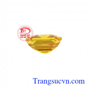 sản phẩm được rất nhiều khách hàng ưa chuộng.