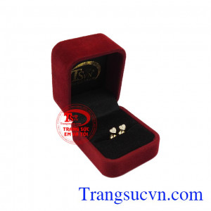 Hoa tai trái tim bé nhỏ