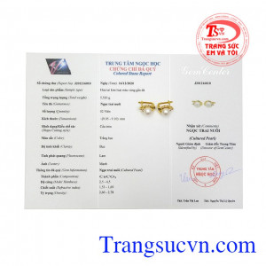 Việc sử dụng ngọc trai trắng thường xuyên còn giúp người đeo có tinh thần sảng khoái và suy nghĩ tích cực. Hoa tai vàng ngọc trai quý phái