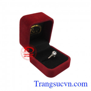 Nhẫn vàng trắng quý cô